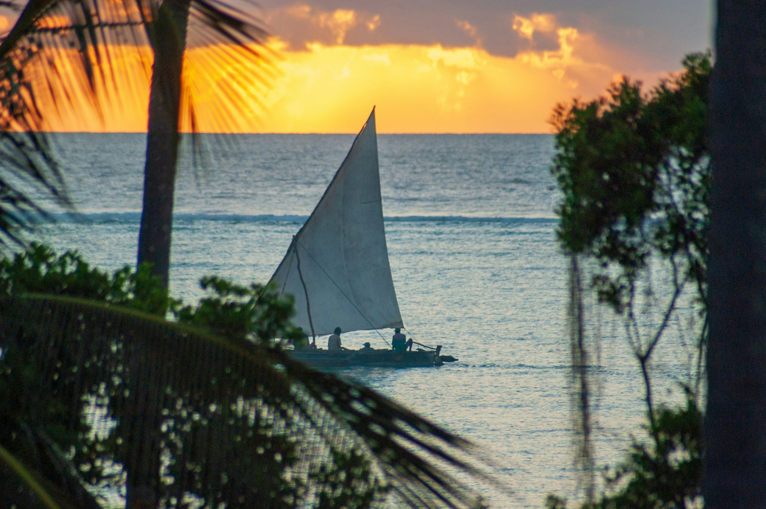 zanzibar-JfMIgyVSt2w-unsplash